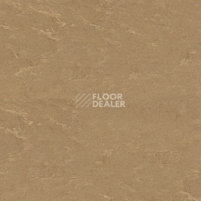 Кварцвиниловые полы Polyflex Plus PU 7100 фото 1 | FLOORDEALER