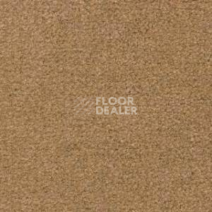 Ковролин Radici Montecarlo 52 фото 1 | FLOORDEALER