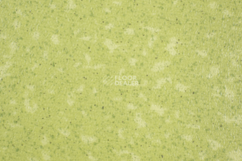 Линолеум Tarkett Acczent Pro Aspect 9 фото 1 | FLOORDEALER