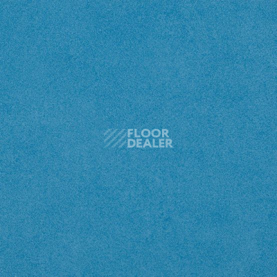 Линолеум Gerflor Taralay Initial Compact (Plain & allover look) 0967 Miami Mer фото 1 | FLOORDEALER