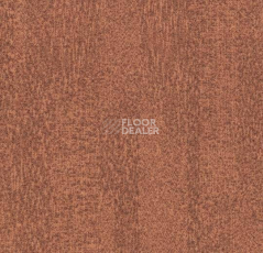 Ковровая плитка Forbo Flotex Colour Penang 50*50 t 382019 Penang Ginger фото 1 | FLOORDEALER