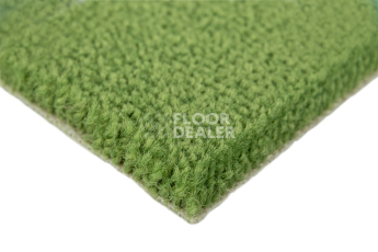 Balsan Les Best S 256 фото 3 | FLOORDEALER