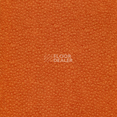 Линолеум Grabo Acoustic Pro 4276_465_4 фото 1 | FLOORDEALER