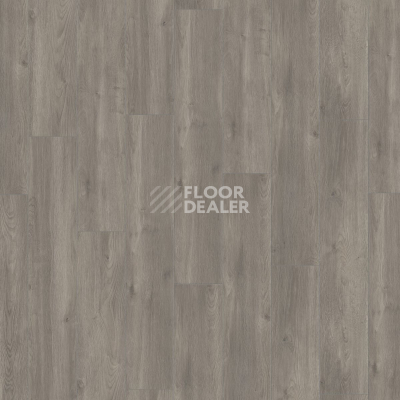 Ламинат Kronotex Exquisit Plus d6013 Дуб Эльба Серебряный фото 3 | FLOORDEALER