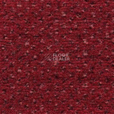 Ковролин Condor Carpets Argus 211 фото 1 | FLOORDEALER