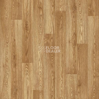 Линолеум Tarkett Eruption Baden 2 фото 1 | FLOORDEALER