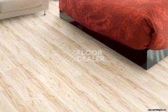 Wood замковое MAPLE фото 2 | FLOORDEALER