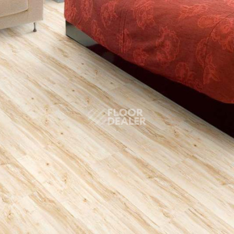 Wood замковое MAPLE фото 2 | FLOORDEALER