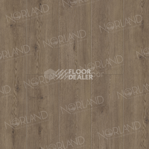 Кварцвиниловые полы Norland Sigrid Plus 4мм Flosi 1006-03 фото 1 | FLOORDEALER