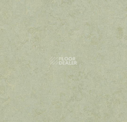 Кварцвиниловые полы Forbo Marmoleum Modular Colour 3884 фото 1 | FLOORDEALER