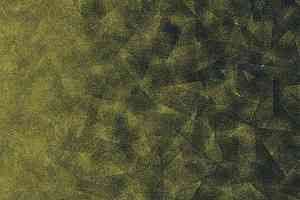 Ковролин Forbo Flotex by Starck Artist 322012 Artist Emerald / Chartreuse b2 фото  | FLOORDEALER
