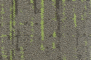 Ковровая плитка Neuflor Autumn Woods 601003 New Leaf фото  | FLOORDEALER