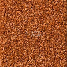 Ковролин Dura Comfort 370 фото 1 | FLOORDEALER