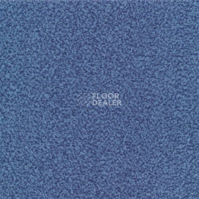 Ковролин Sintelon Velveto 47912 фото 1 | FLOORDEALER