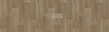 Линолеум Tarkett Status LEON3 фото 1 | FLOORDEALER