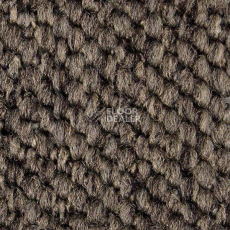 Ковролин Carpet Concept Eco Cut 54578 фото 1 | FLOORDEALER