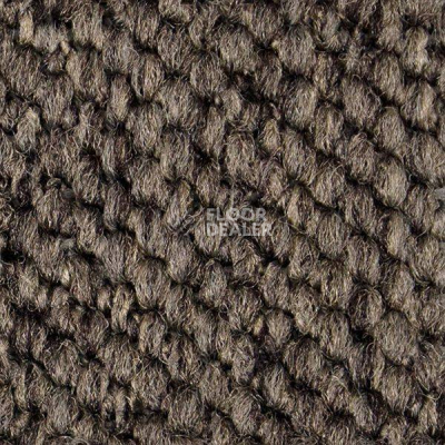 Ковролин Carpet Concept Eco Cut 54578 фото 1 | FLOORDEALER