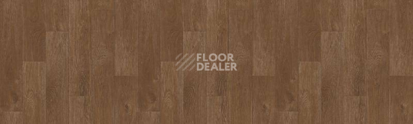 Линолеум Tarkett Kvazar GIBSON3 фото 1 | FLOORDEALER