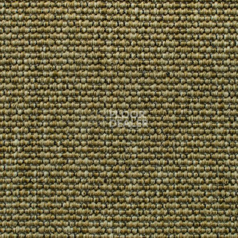 Ковролин Carpet Concept Eco Iqu 40593 фото 1 | FLOORDEALER