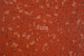 Линолеум Tarkett Acczent Pro Aspect 8 фото 1 | FLOORDEALER