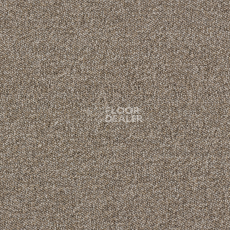 Ковролин Associated Weavers Maxima 37 фото 1 | FLOORDEALER