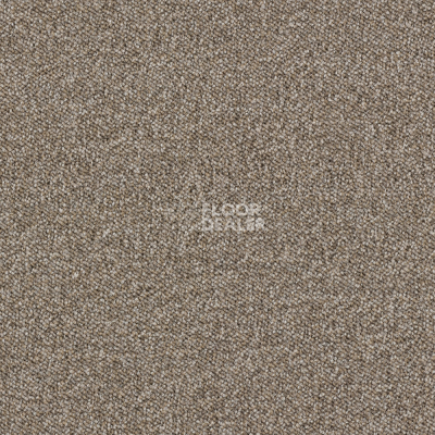 Ковролин Associated Weavers Maxima 37 фото 1 | FLOORDEALER