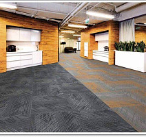Escom New Space