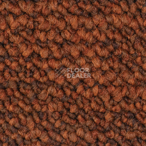 Desso Desert 5011 фото 2 | FLOORDEALER