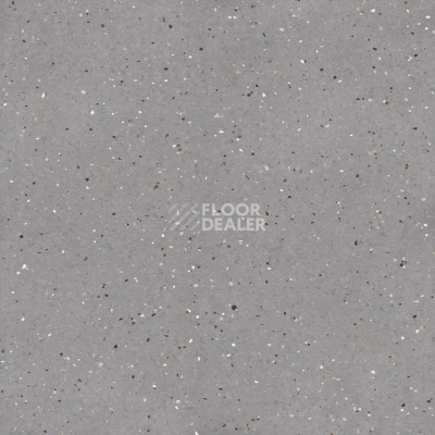 Линолеум Tarkett iQ Lyra 502 фото 1 | FLOORDEALER