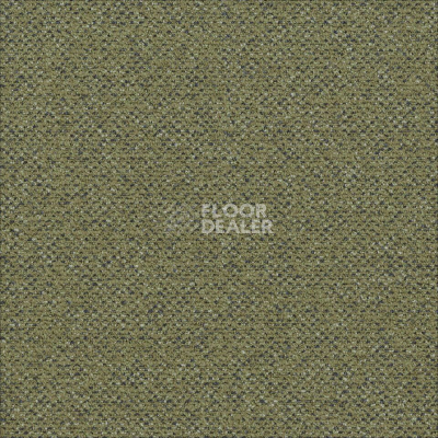 Ковровая плитка Desso Solid ac 73 7854 фото 1 | FLOORDEALER