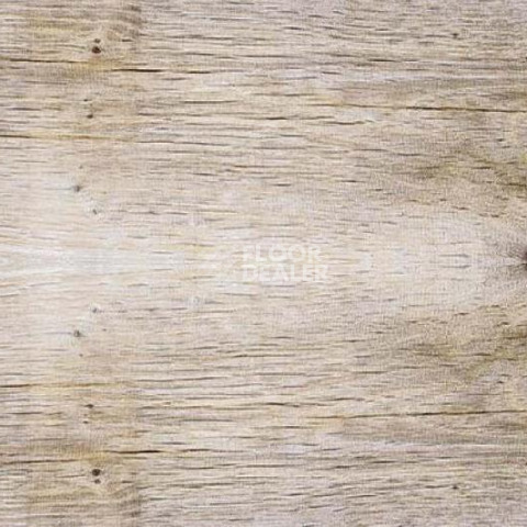 Пробковое покрытие Wood замковое SIBIRIAN LARCH LIMEWASHED фото 1 | FLOORDEALER