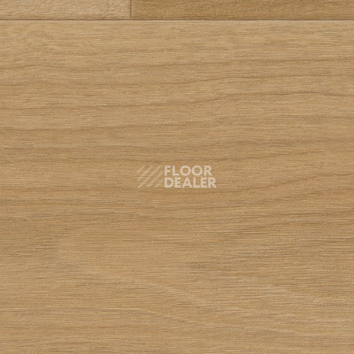 Линолеум Gerflor Taralay Initial Compact (wood) 0961 Bostonian Honey фото 1 | FLOORDEALER