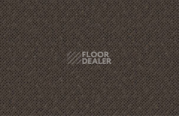 Ковролин Halbmond X-tra 12201 c 11 фото 1 | FLOORDEALER