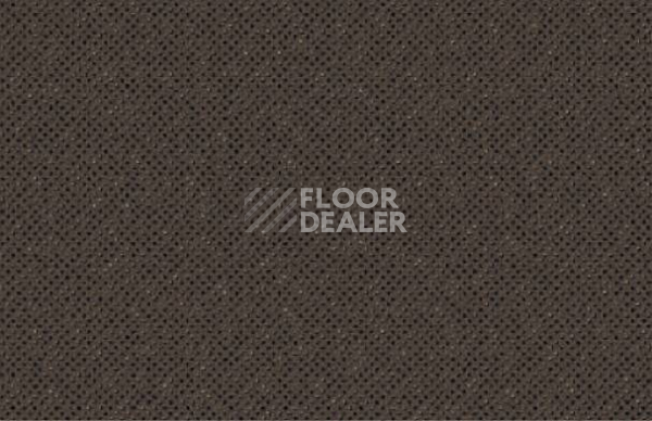 Ковролин Halbmond X-tra 12201 c 11 фото 1 | FLOORDEALER