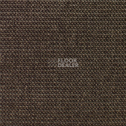 Ковролин Carpet Concept Eco Iqu 60251 фото 1 | FLOORDEALER