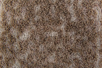 Forbo Flotex Colour Canyon 50*50 t 545025 Canyon Earth фото 2 | FLOORDEALER