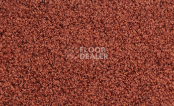 Ковролин Vorwerk Exclusive1009/Elara 1m16 фото 1 | FLOORDEALER