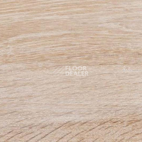 Пробковое покрытие Wood Xl Oak  Gekalte New фото 1 | FLOORDEALER