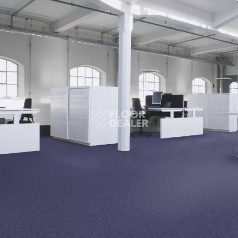 Forbo Tessera Basis 380 Blackcurrant фото 2 | FLOORDEALER