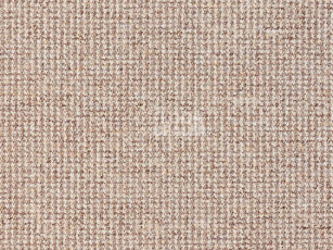 Ковролин Balta Brazil 780 фото 1 | FLOORDEALER