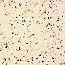 Линолеум DLV Flooring Pure Space Conductive 816 Butter  | FLOORDEALER