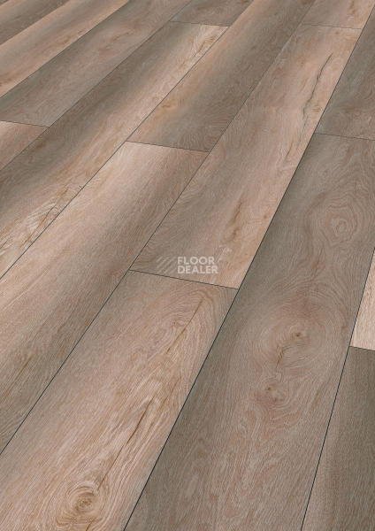 Ламинат Kronotex Robusto 12мм d80992 Дуб Гнарренбург Титан фото 1 | FLOORDEALER