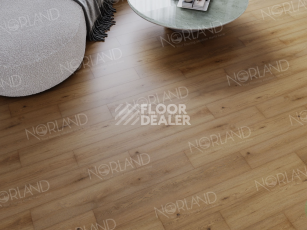 Norland Sigrid  LVT 2мм Blake 1003-2 фото 4 | FLOORDEALER