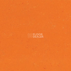 Линолеум Gerflor Colorette 0170 Kumquat Orange фото 1 | FLOORDEALER