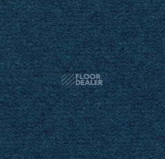 Ковролин Forbo Flotex wonderlab 07 900267 Nautical фото 1 | FLOORDEALER