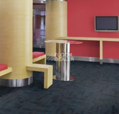 Forbo Tessera Alignment 240 Wavelength фото 3 | FLOORDEALER
