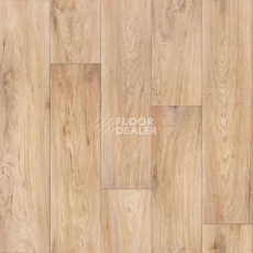Линолеум Tarkett Evolution Wagner 1 фото 1 | FLOORDEALER