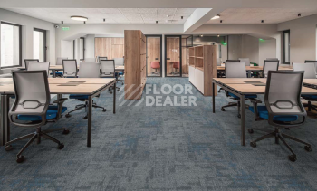InnovFlor Rebirth 05 фото 2 | FLOORDEALER