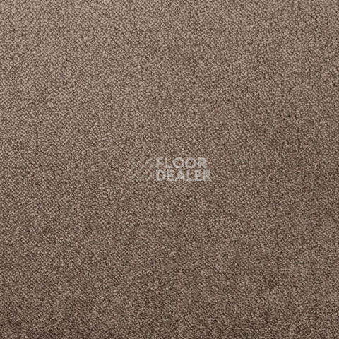 Lano Sense Pure 989 фото 2 | FLOORDEALER