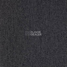 Ковролин Carpet Concept Eco 1 6691 фото 1 | FLOORDEALER